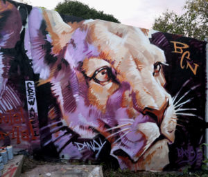Lion head, Barcelona, 2019, spraypaint